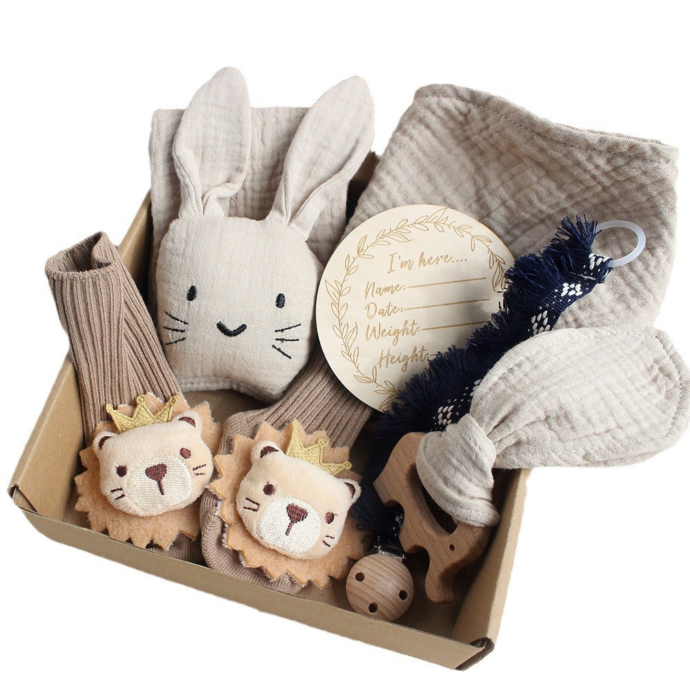 Baby Rabbit Lion Gift Box