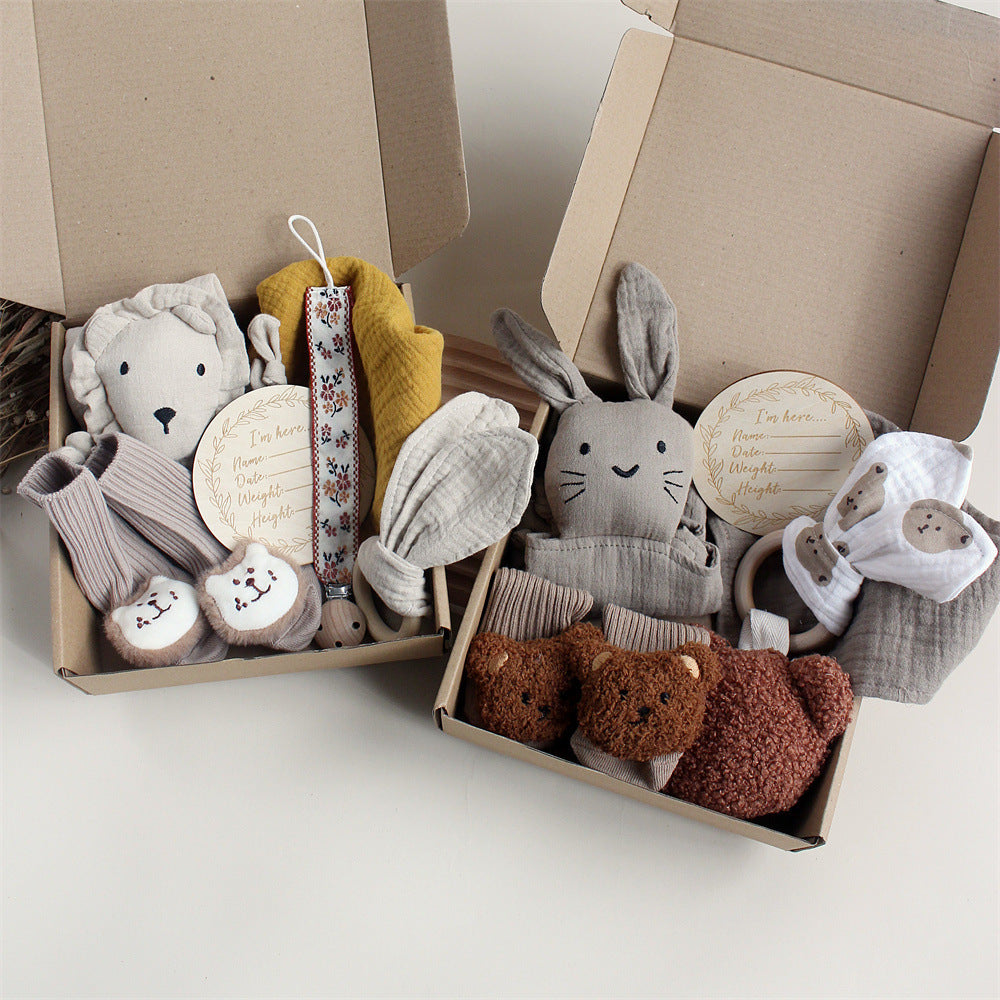 Baby Rabbit Lion Gift Box