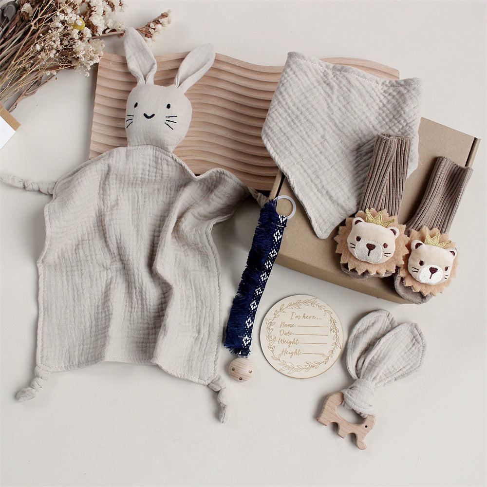 Baby Rabbit Lion Gift Box